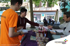 Distribution-des-questionnaires-SCoT-et-PGD-de-Carcassonne-Agglo-par-les-étudiants-pour-la-consultation-des-habitants-le-4-juin-2019-à-Carcassonne-003.jpg