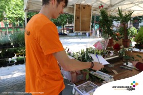 Distribution-des-questionnaires-SCoT-et-PGD-de-Carcassonne-Agglo-par-les-étudiants-pour-la-consultation-des-habitants-le-4-juin-2019-à-Carcassonne-03.jpg